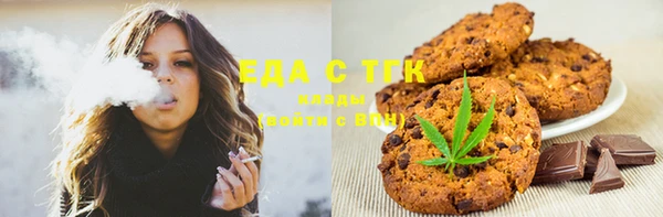 хмурый Ельня
