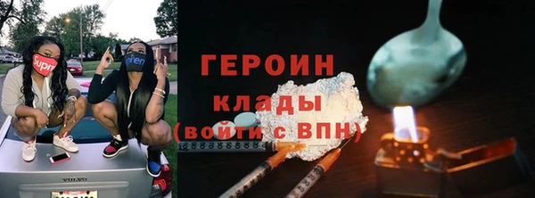 хмурый Ельня