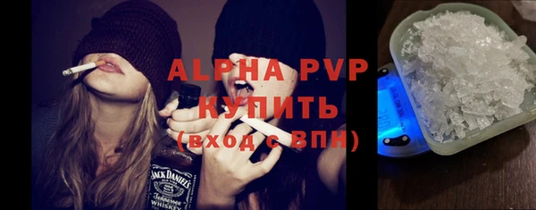 хмурый Ельня