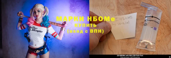 хмурый Ельня