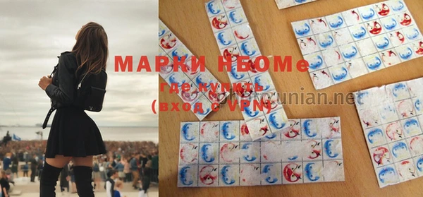 хмурый Ельня