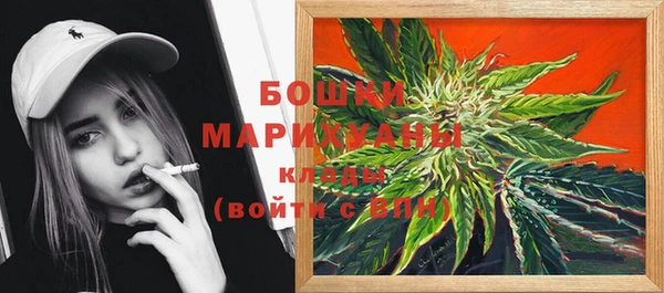 хмурый Ельня