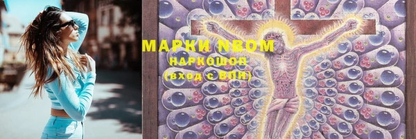хмурый Ельня
