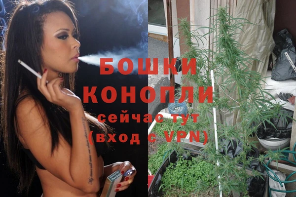 хмурый Ельня