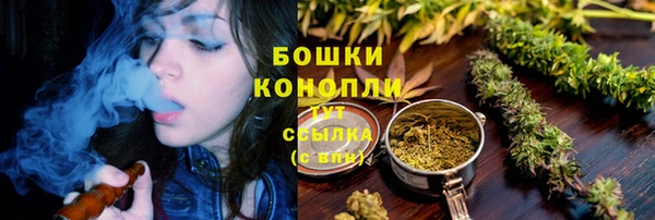 ALPHA-PVP Елизово