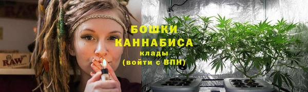 хмурый Ельня