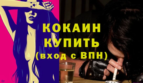 хмурый Ельня